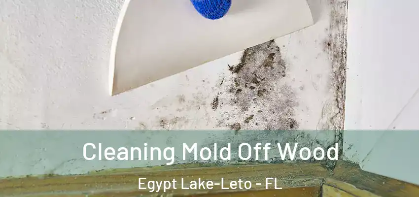 Cleaning Mold Off Wood Egypt Lake-Leto - FL
