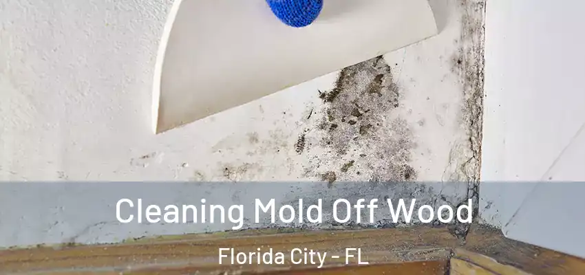  Cleaning Mold Off Wood Florida City - FL