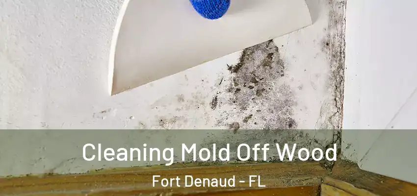  Cleaning Mold Off Wood Fort Denaud - FL