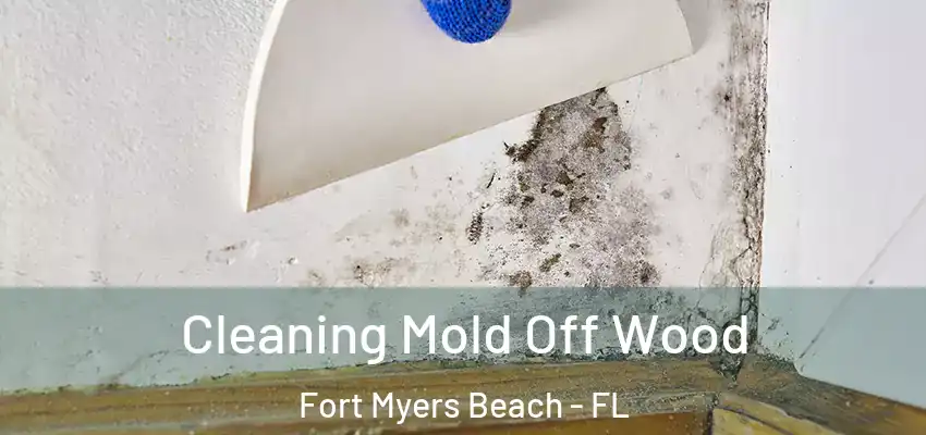 Cleaning Mold Off Wood Fort Myers Beach - FL