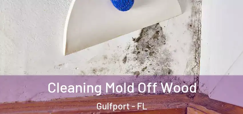  Cleaning Mold Off Wood Gulfport - FL