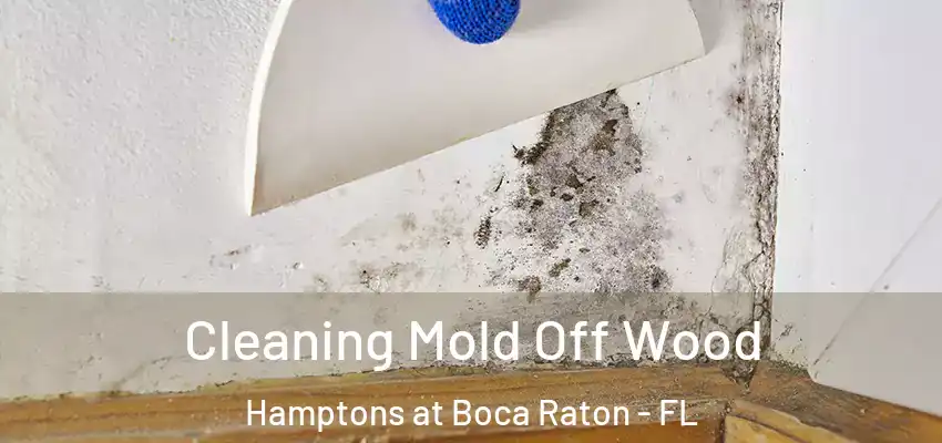 Cleaning Mold Off Wood Hamptons at Boca Raton - FL