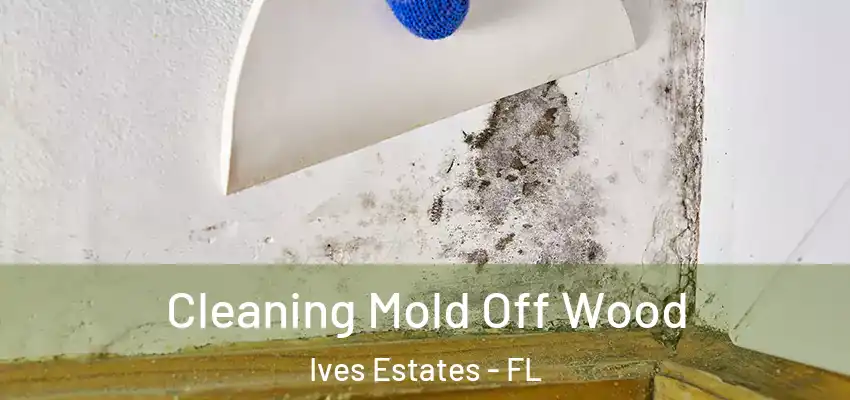 Cleaning Mold Off Wood Ives Estates - FL