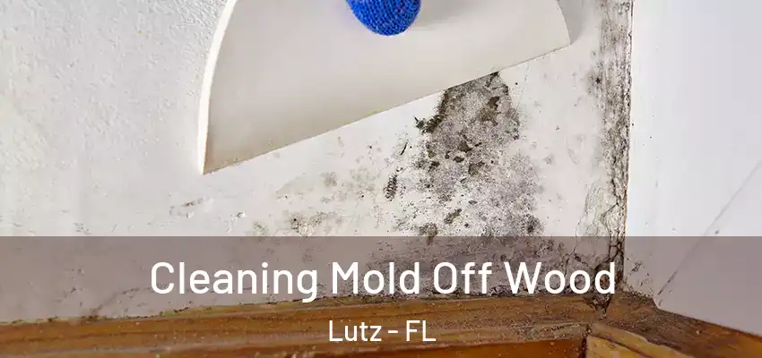 Cleaning Mold Off Wood Lutz - FL