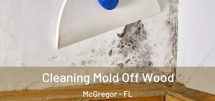  Cleaning Mold Off Wood McGregor - FL