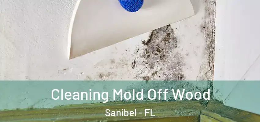 Cleaning Mold Off Wood Sanibel - FL