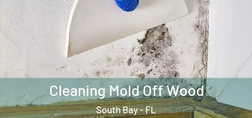  Cleaning Mold Off Wood South Bay - FL