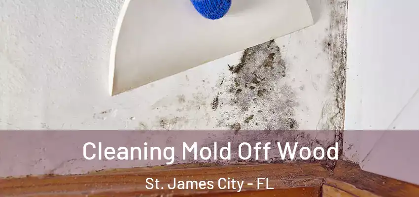 Cleaning Mold Off Wood St. James City - FL