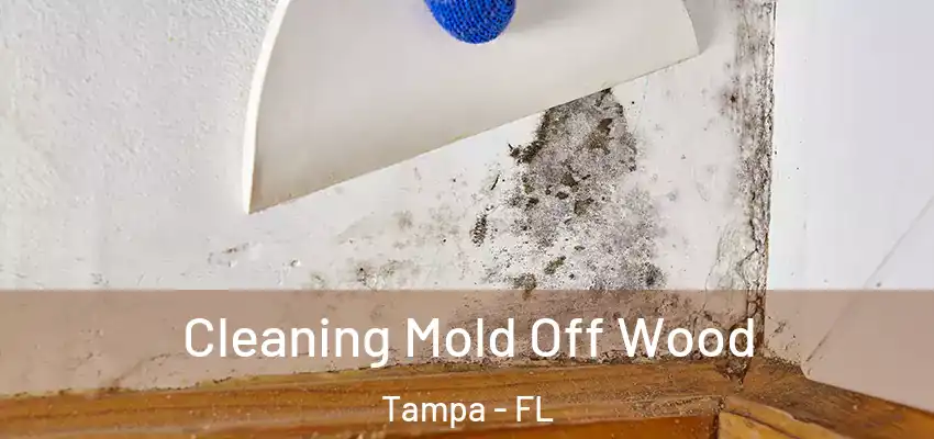Cleaning Mold Off Wood Tampa - FL