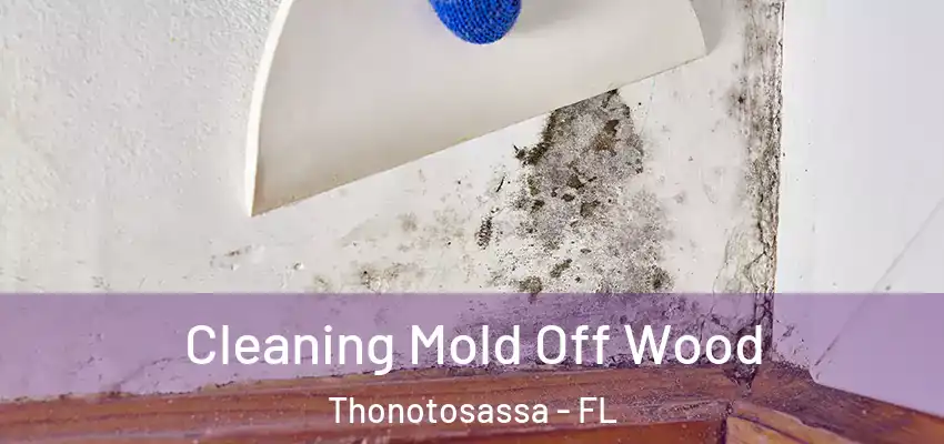 Cleaning Mold Off Wood Thonotosassa - FL