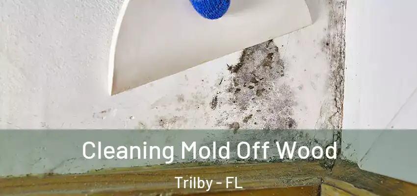 Cleaning Mold Off Wood Trilby - FL