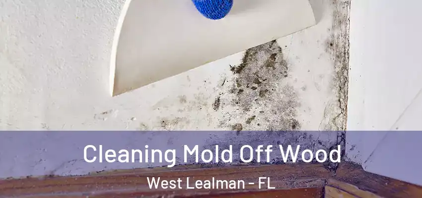 Cleaning Mold Off Wood West Lealman - FL