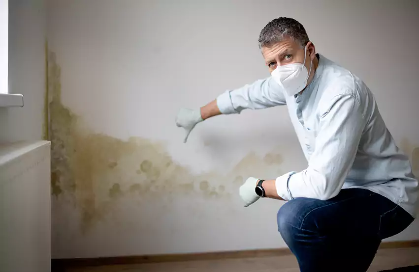 Mold Removal in Boca Raton, FL