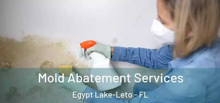  Mold Abatement Services Egypt Lake-Leto - FL