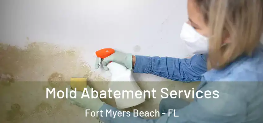  Mold Abatement Services Fort Myers Beach - FL