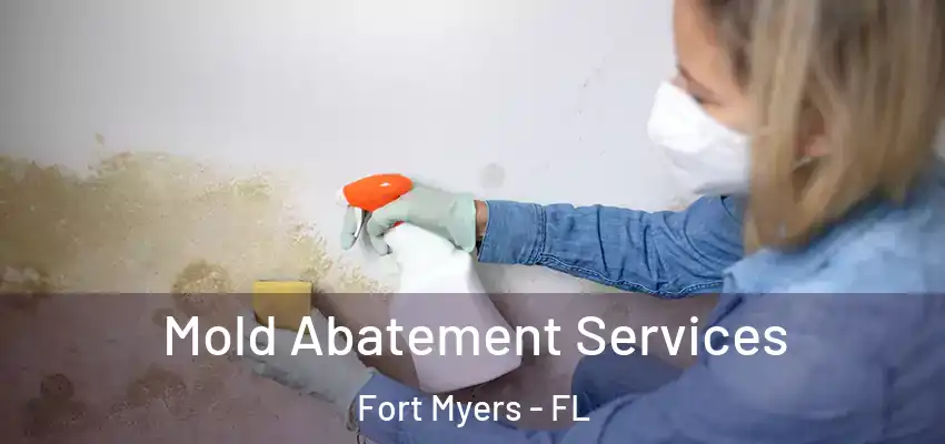  Mold Abatement Services Fort Myers - FL