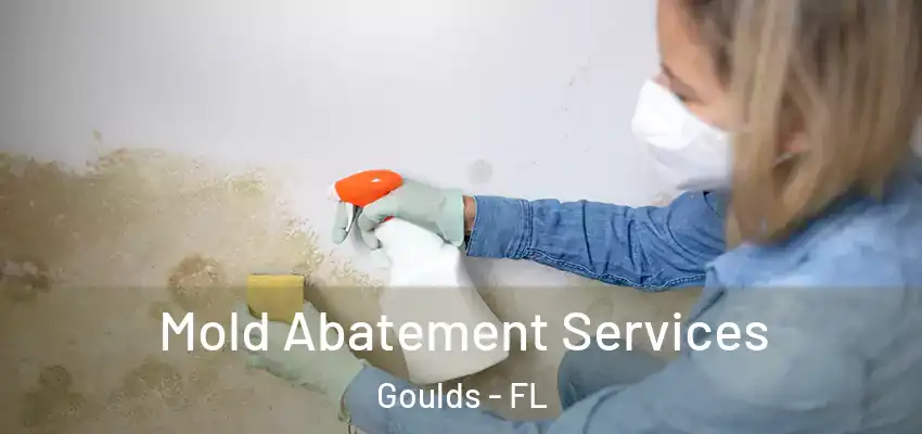Mold Abatement Services Goulds - FL