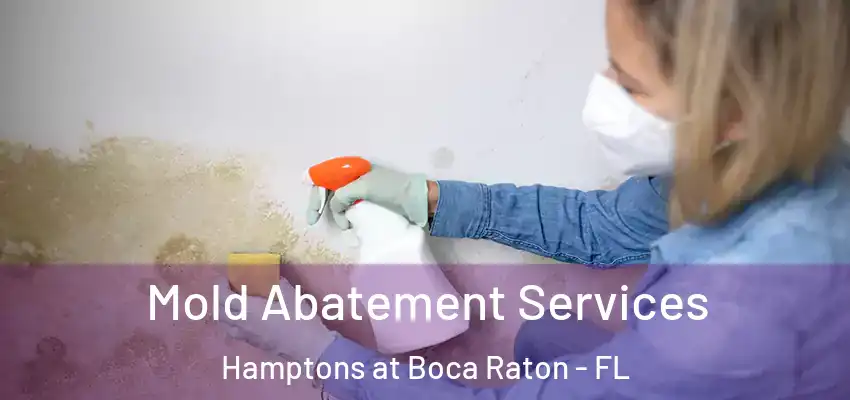 Mold Abatement Services Hamptons at Boca Raton - FL
