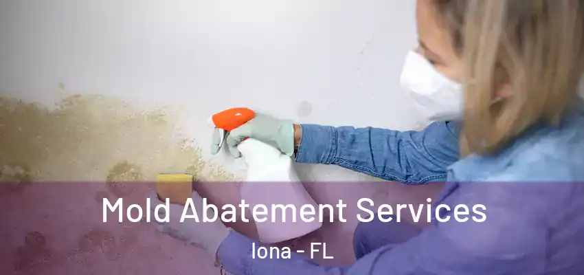  Mold Abatement Services Iona - FL