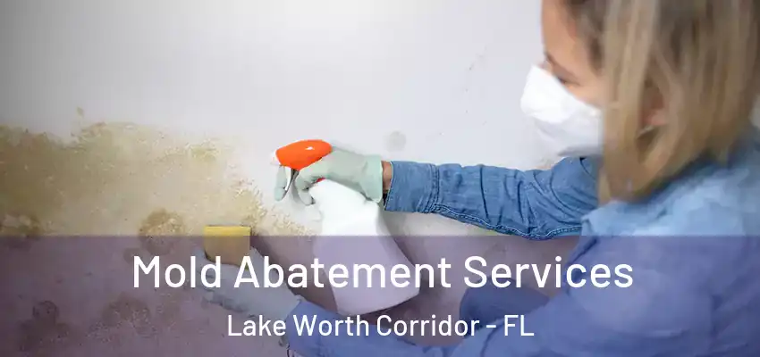  Mold Abatement Services Lake Worth Corridor - FL