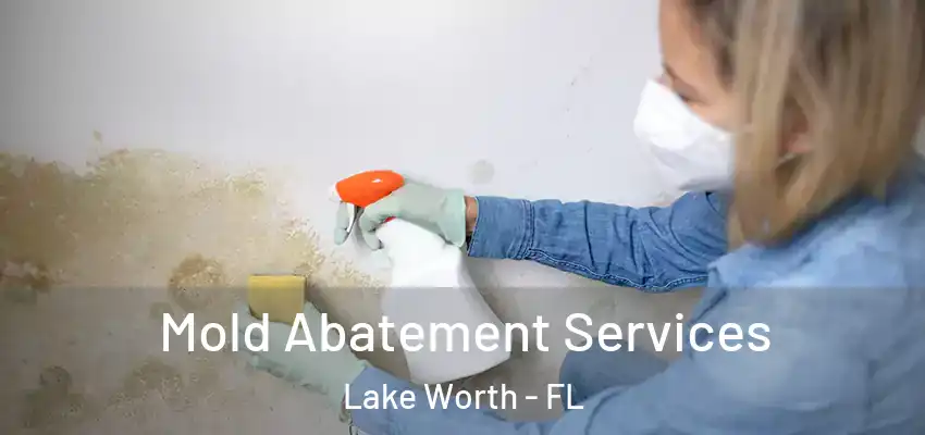 Mold Abatement Services Lake Worth - FL