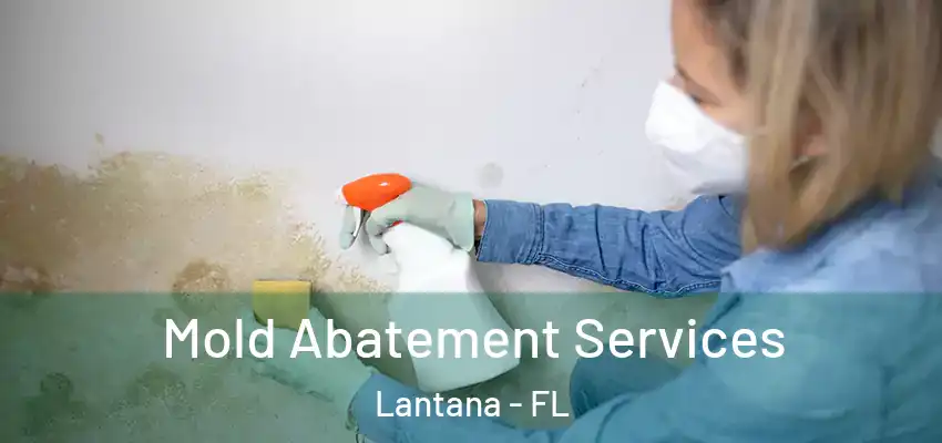 Mold Abatement Services Lantana - FL