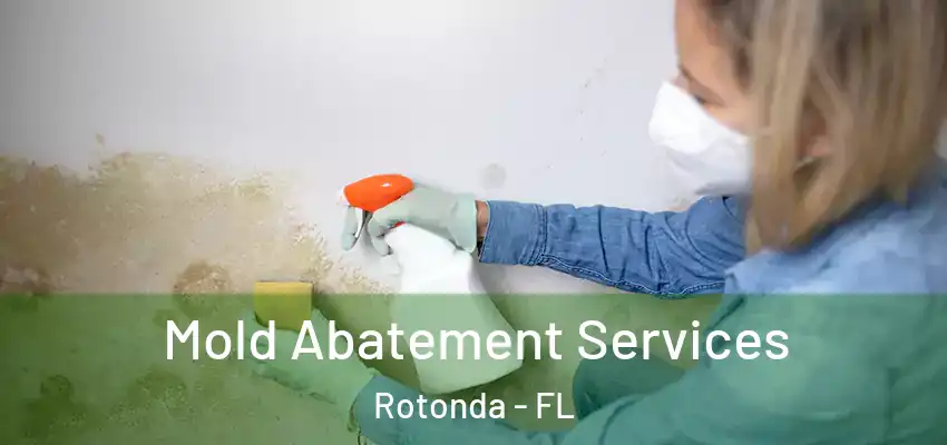 Mold Abatement Services Rotonda - FL
