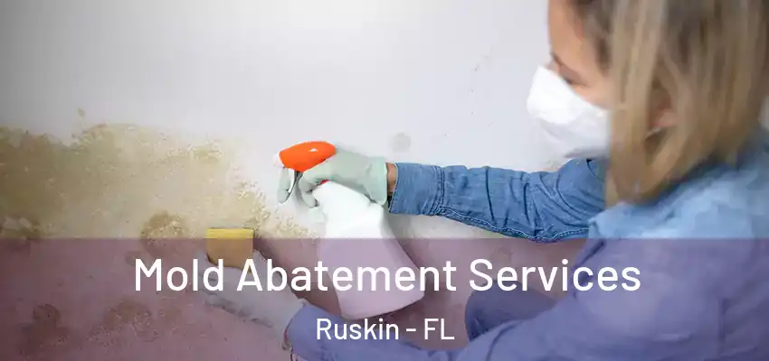 Mold Abatement Services Ruskin - FL