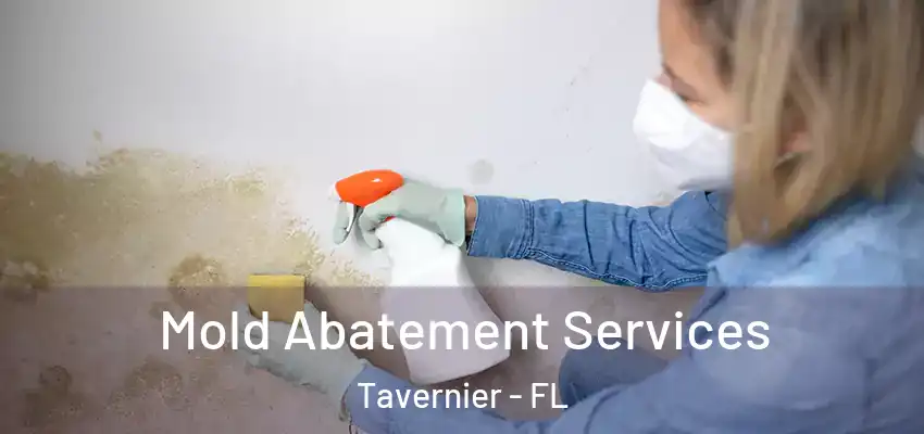 Mold Abatement Services Tavernier - FL