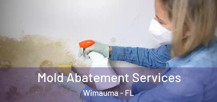  Mold Abatement Services Wimauma - FL