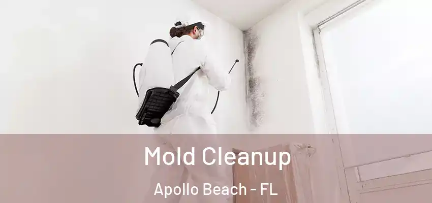  Mold Cleanup Apollo Beach - FL