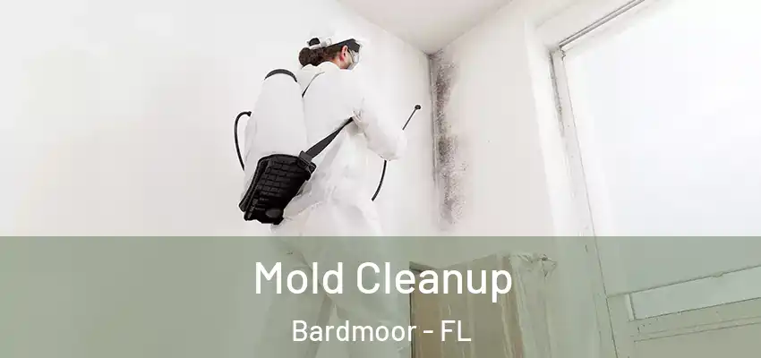  Mold Cleanup Bardmoor - FL