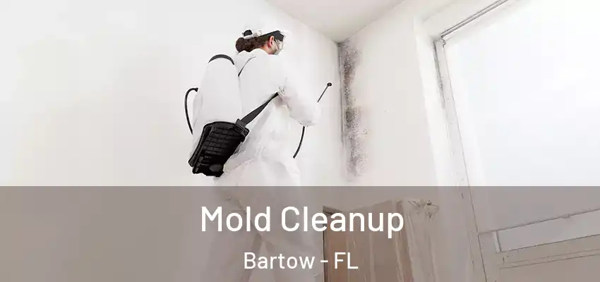 Mold Cleanup Bartow - FL