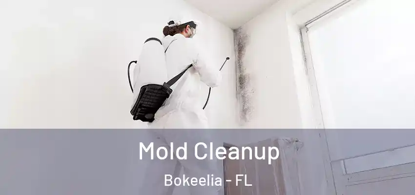  Mold Cleanup Bokeelia - FL