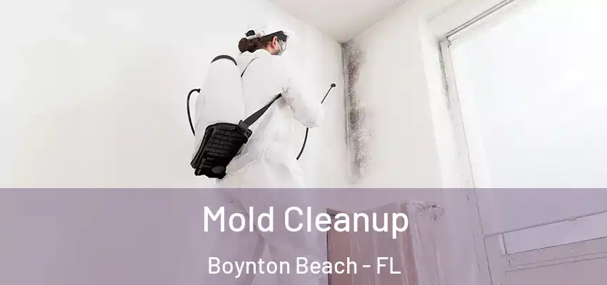  Mold Cleanup Boynton Beach - FL