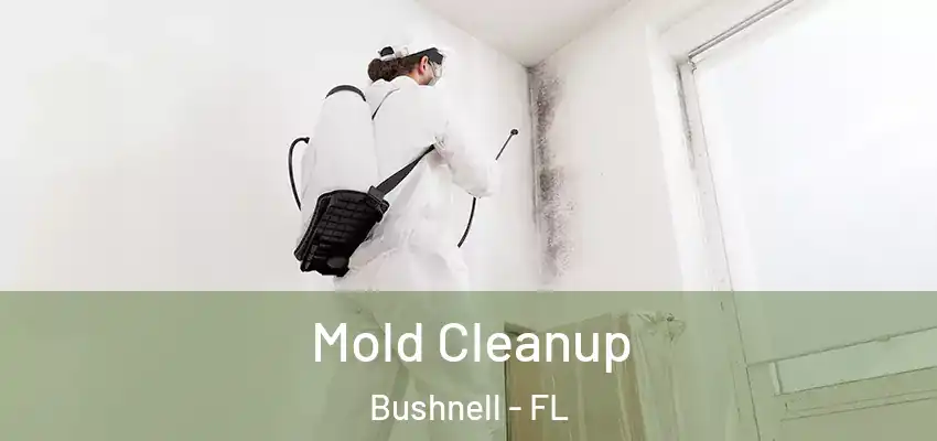  Mold Cleanup Bushnell - FL