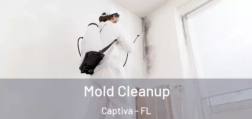 Mold Cleanup Captiva - FL