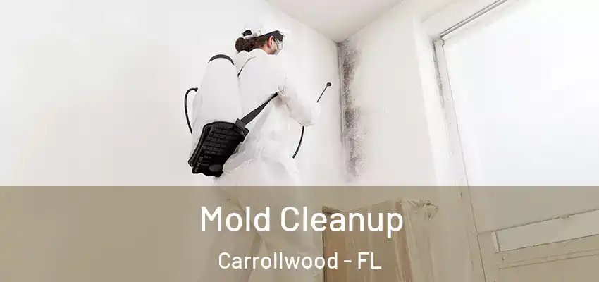  Mold Cleanup Carrollwood - FL