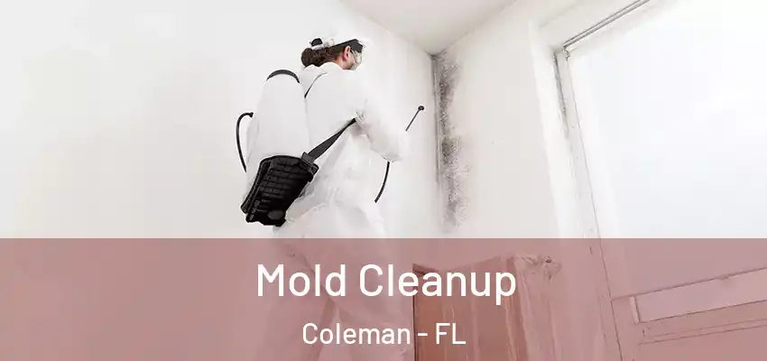  Mold Cleanup Coleman - FL