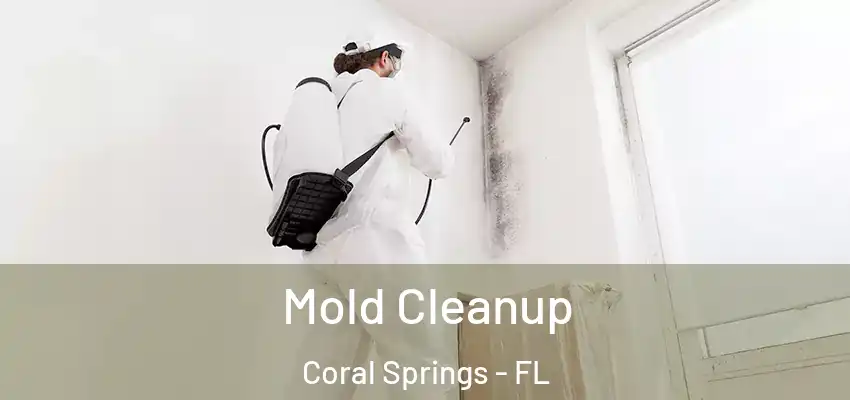  Mold Cleanup Coral Springs - FL