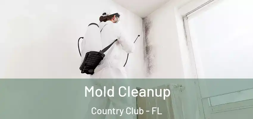 Mold Cleanup Country Club - FL