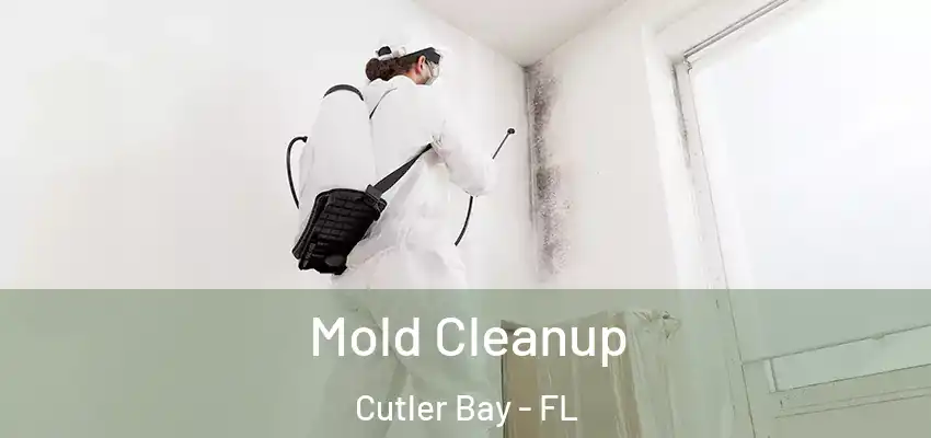 Mold Cleanup Cutler Bay - FL