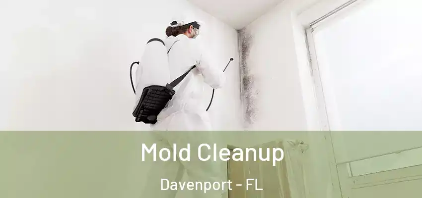 Mold Cleanup Davenport - FL