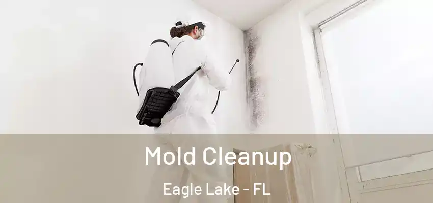 Mold Cleanup Eagle Lake - FL