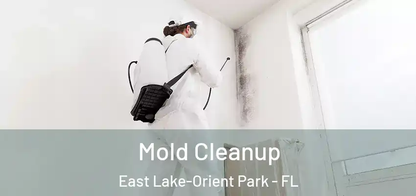 Mold Cleanup East Lake-Orient Park - FL