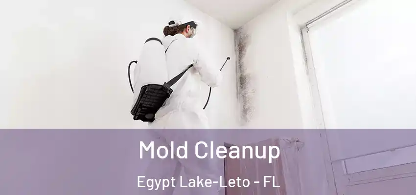  Mold Cleanup Egypt Lake-Leto - FL