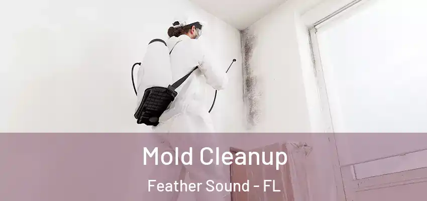 Mold Cleanup Feather Sound - FL