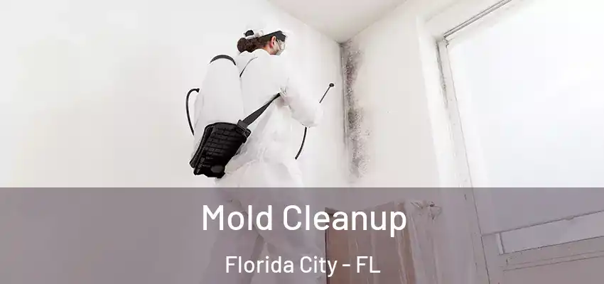 Mold Cleanup Florida City - FL
