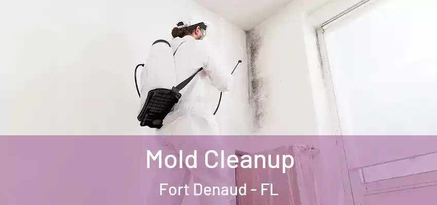  Mold Cleanup Fort Denaud - FL