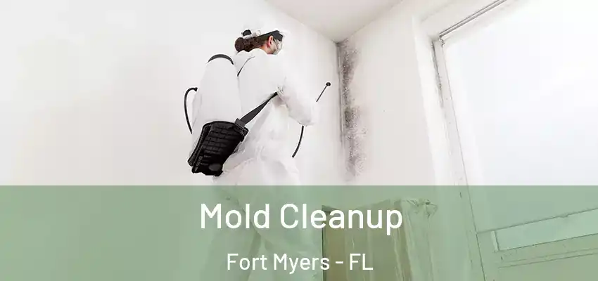  Mold Cleanup Fort Myers - FL